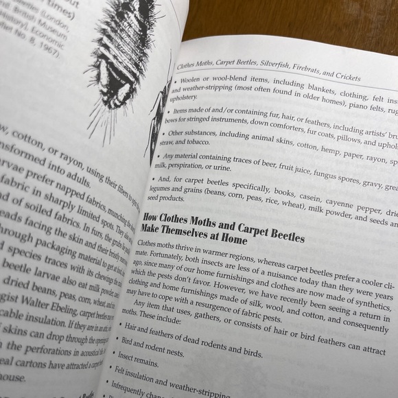 Bug Busters by Bernice Lifton. Poison Free Pest Control for House and Garden - Picture 5 of 9